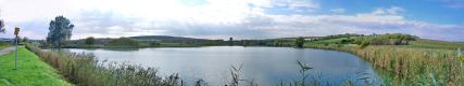 [&bull;]